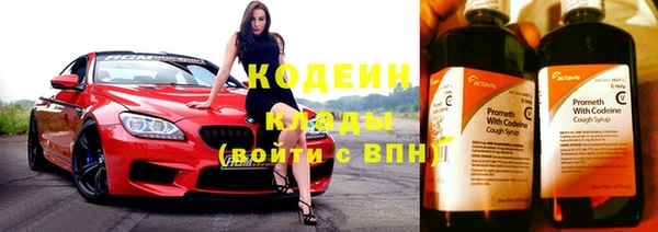 2c-b Бородино