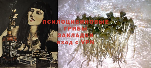 2c-b Бородино