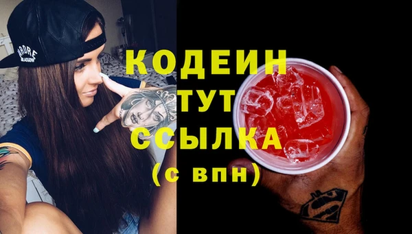 2c-b Бородино