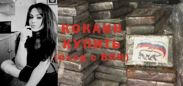 2c-b Бородино
