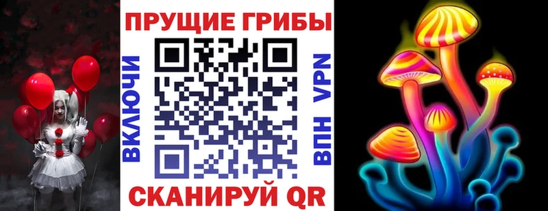 наркошоп Новосокольники Галлюциногенные грибы Psilocybe