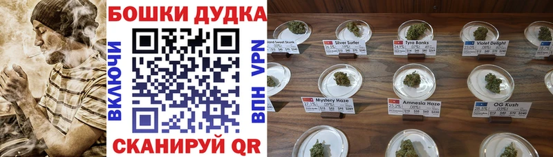 что такое   Новосокольники  ссылка на мегу сайт  Канабис THC 21% 
